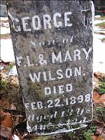 Wilson, George T